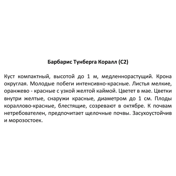 Барбарис Тунберга Коралл ø17 h30 см