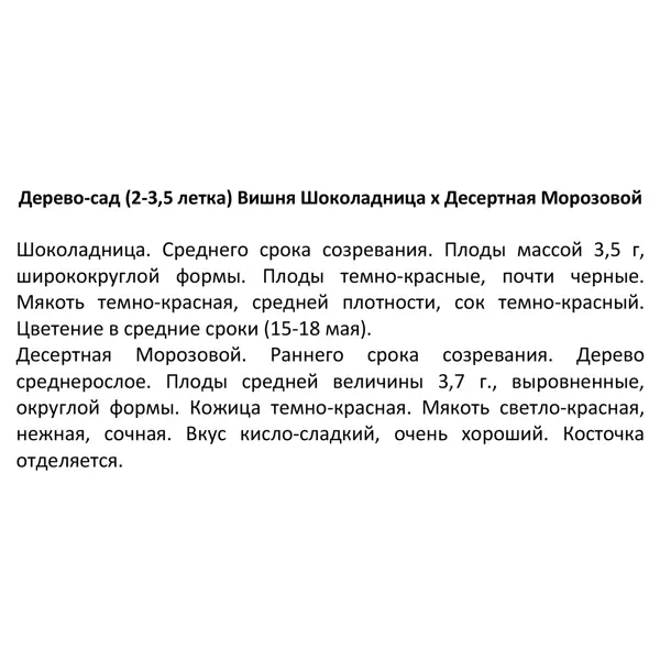 Дерево-сад Вишня микс ø30 h120 см