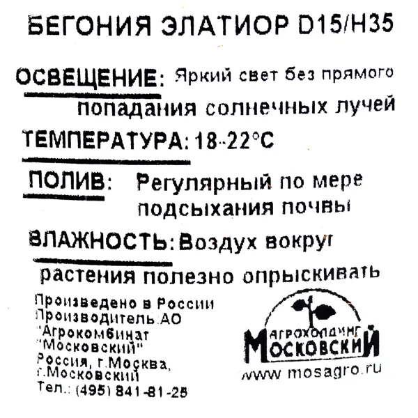 Бегония «Элатиор» 15x35 см