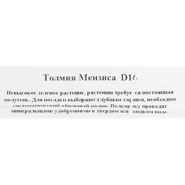 Толмея мензена d16 h25