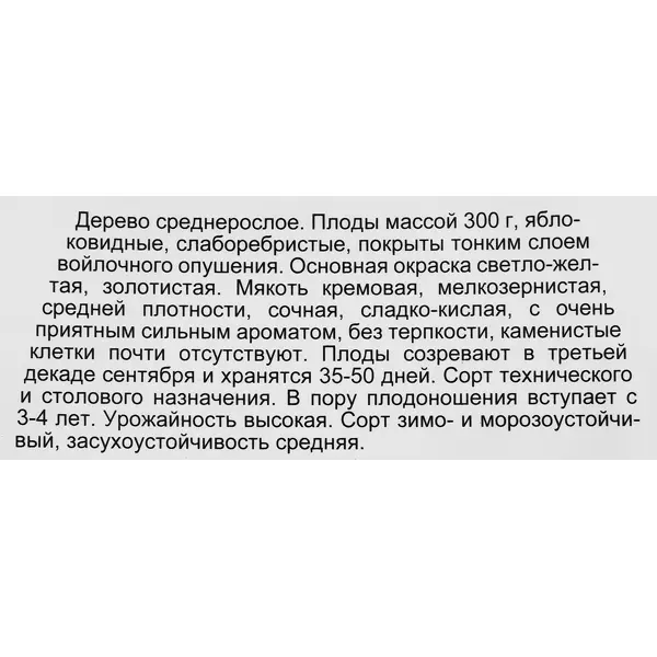Айва японская съедобная золотистая сетка h150 см