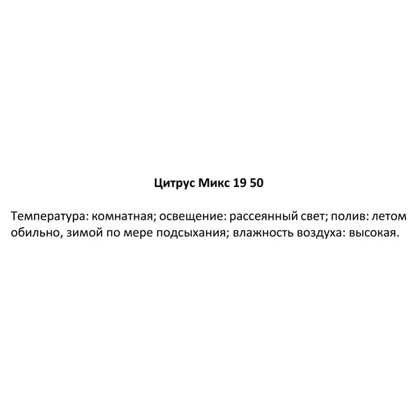 Цитрус микс d19 h50