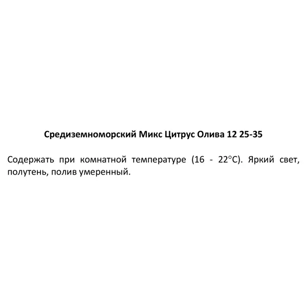 Цитрус микс ø12 h35 см