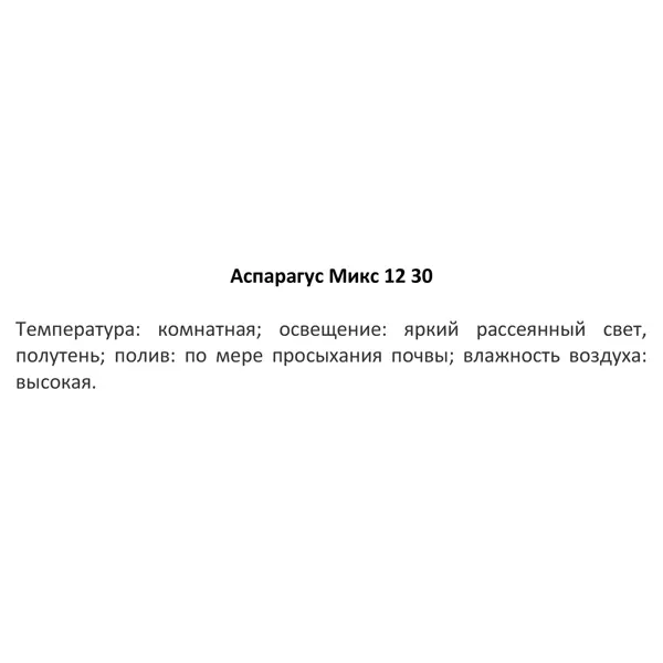 Аспарагус микс ø12 h30 см
