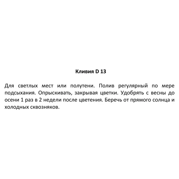 Кливия 12x60 см