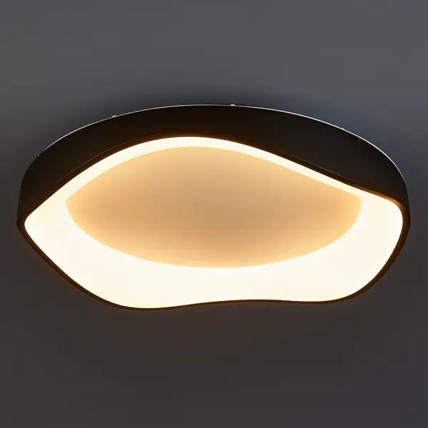 Светильник настенно-потолочный светодиодный Arte Lamp Ankaa 55 Вт 15 м² регулируемый белый цвет света цвет черный