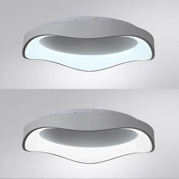 Светильник настенно-потолочный светодиодный Arte Lamp Ankaa 55 Вт 15 м² регулируемый белый цвет света цвет белый