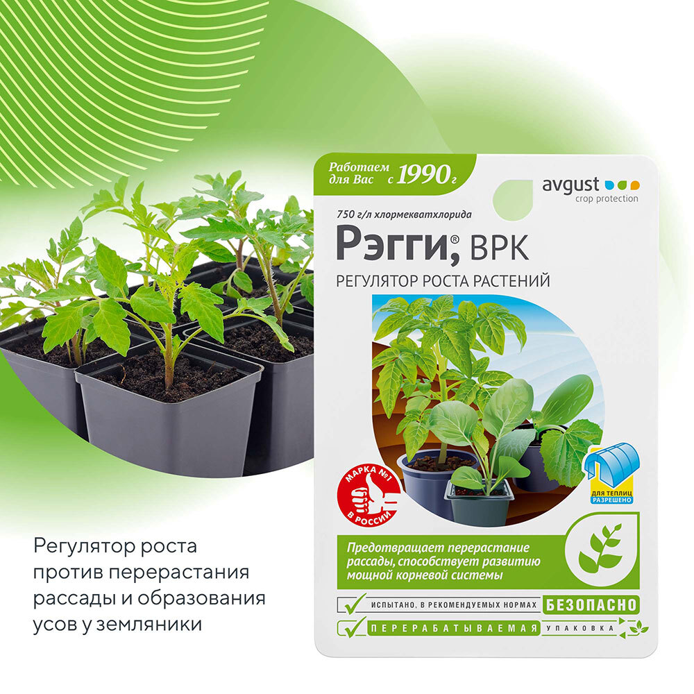 Plant growth regulator Avgust Reggy 10 ml