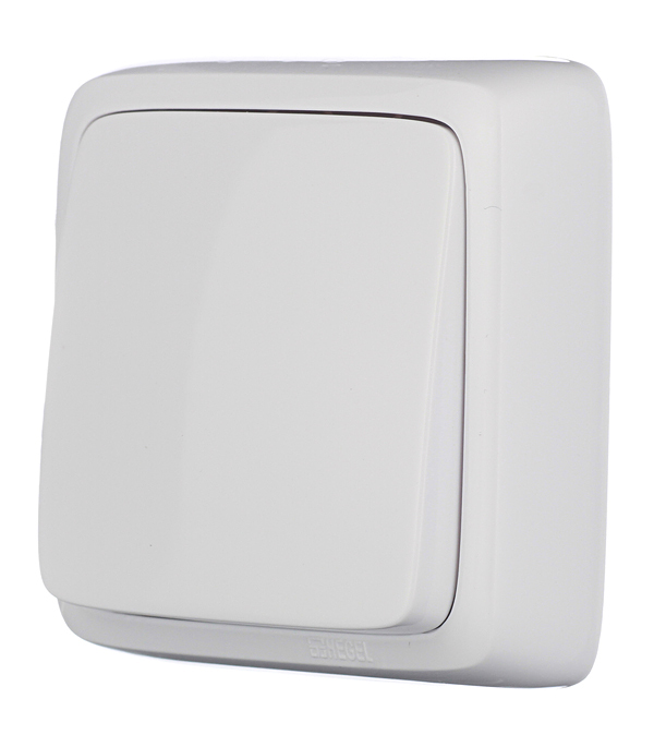 Выключатель Hegel Alfa одноклавишный накладной белый (ВА10-113)