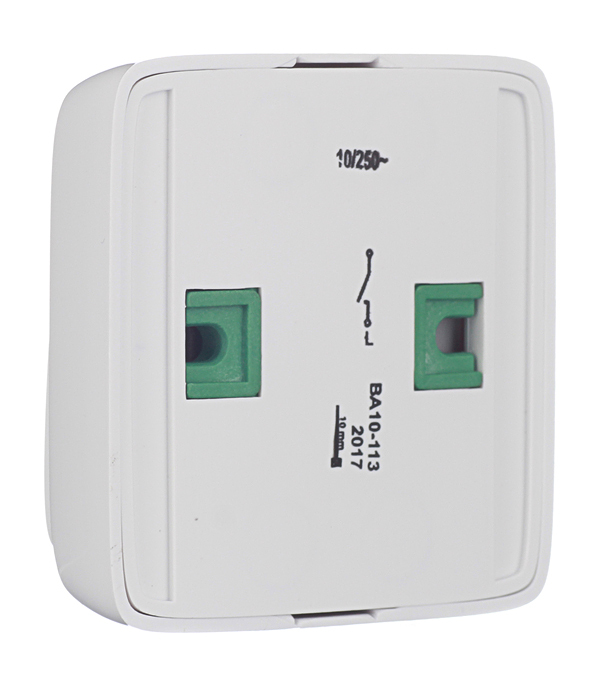 Выключатель Hegel Alfa одноклавишный накладной белый (ВА10-113)