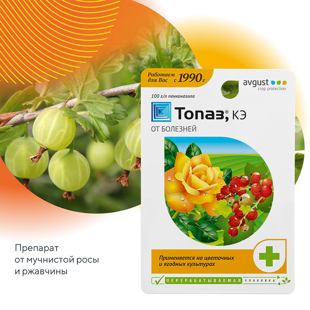Средство защиты от болезней растений Avgust Топаз 10 мл