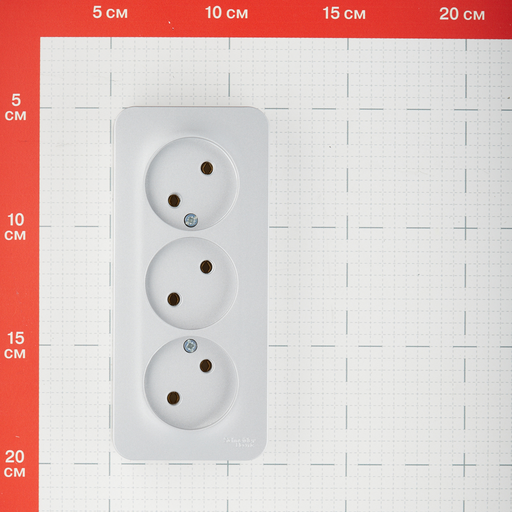 Розетка Systeme Electric Blanca накладная алюминий (BLNRA000313)