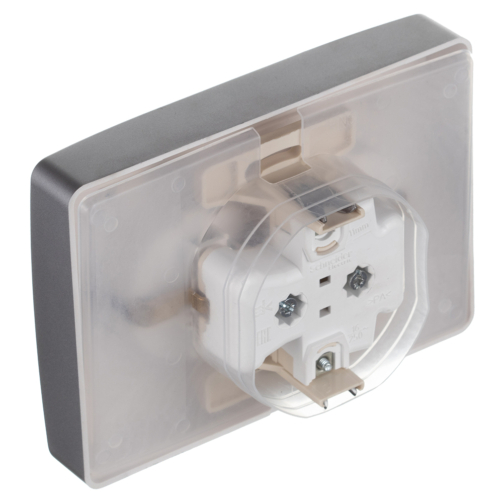 Розетка Systeme Electric Blanca встраиваемая алюминий со шторками (BLNRS441123)