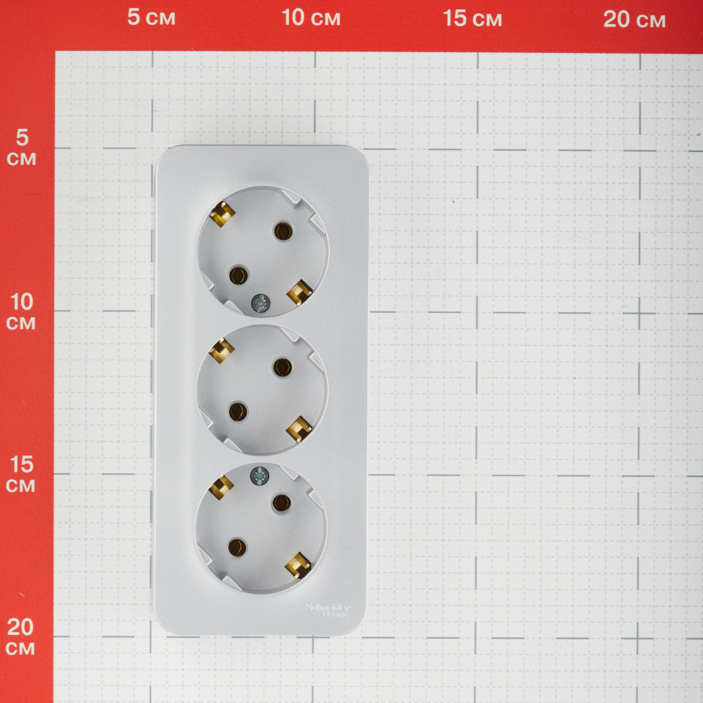 Розетка Systeme Electric Blanca накладная алюминий (BLNRA010313)