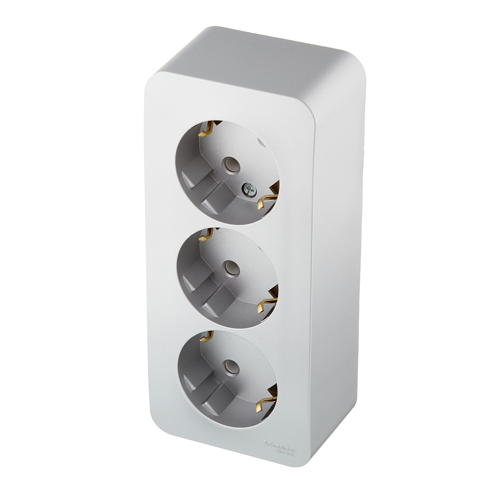 Розетка Systeme Electric Blanca накладная алюминий (BLNRA010313)