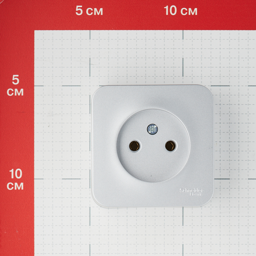 Розетка Systeme Electric Blanca накладная алюминий (BLNRA000113)