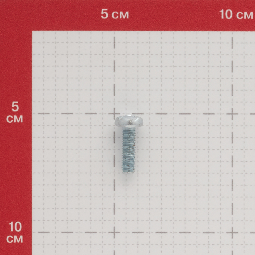 Винт оцинкованный M6x20 мм DIN 7985 полукруглая головка (10 шт.)