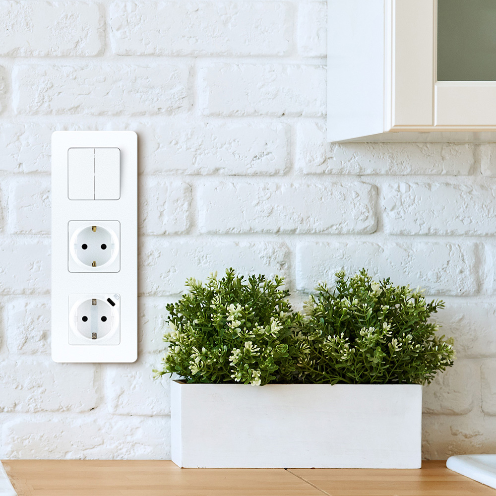 Розетка Legrand Inspiria встраиваемая белая с USB Type-C (673770)