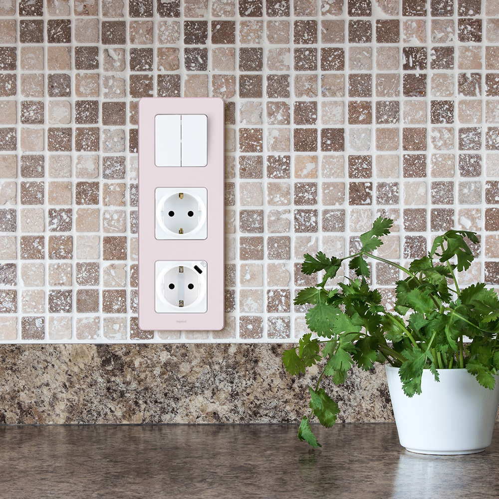 Розетка Legrand Inspiria встраиваемая белая с USB Type-C (673770)