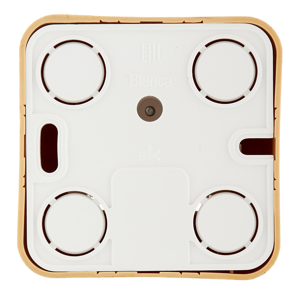 Розетка компьютерная Systeme Electric Blanca накладная ясень 2хRJ45 (BLNIA045455)