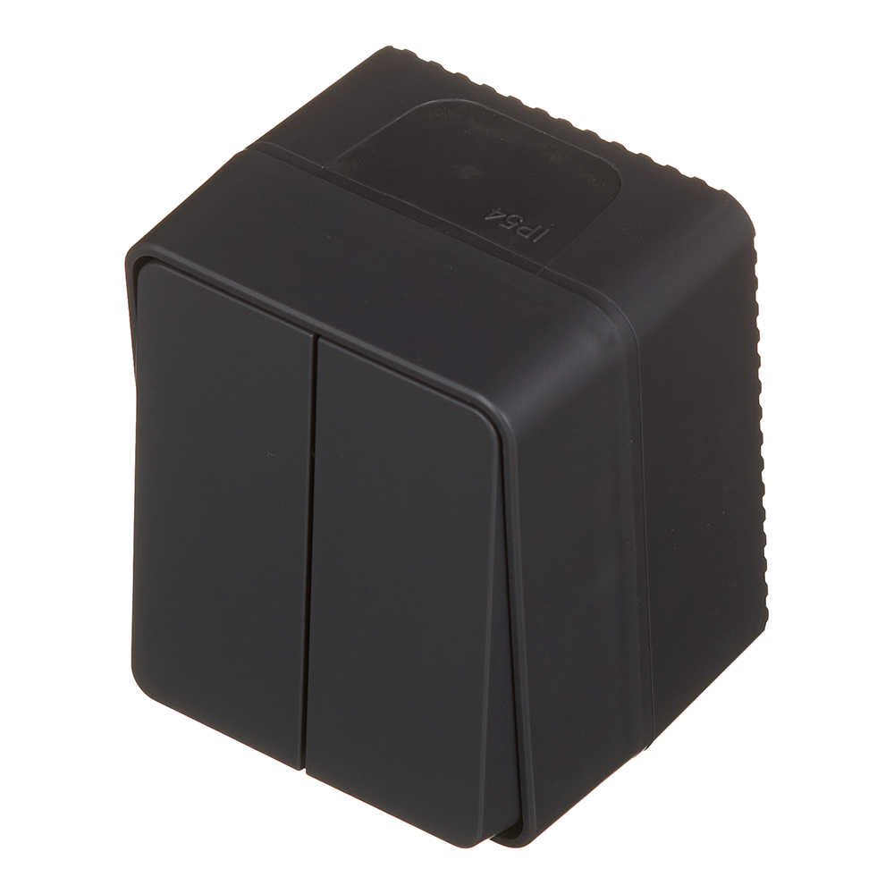 Выключатель Systeme Electric AtlasDesign Profi54 двухклавишный накладной антрацит (ATN544051)