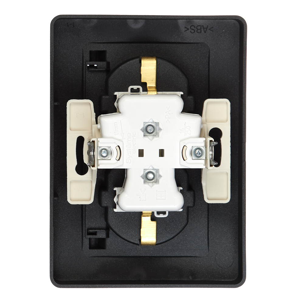 Розетка Systeme Electric Blanca встраиваемая антрацит со шторками (BLNRS441126)