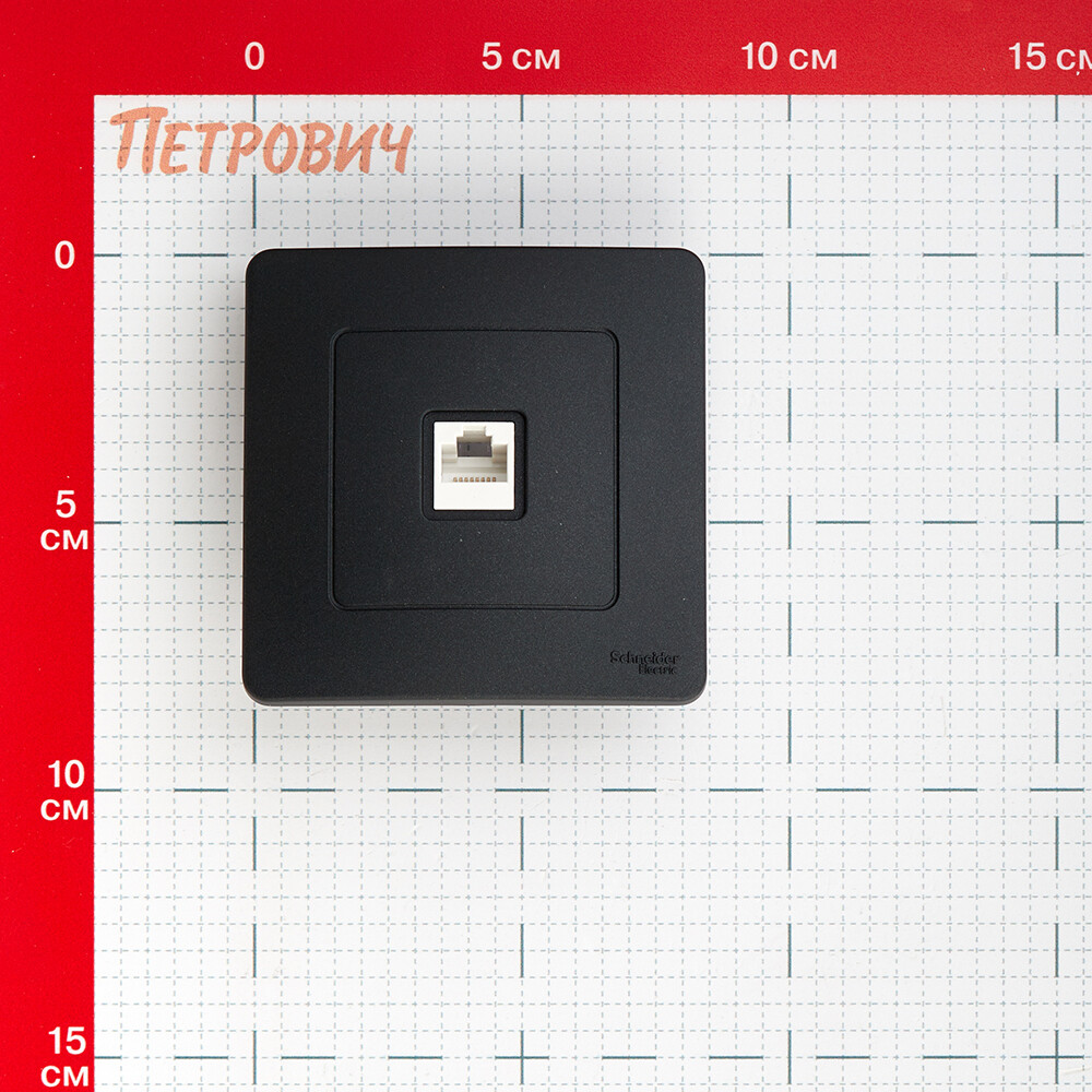 Розетка компьютерная Systeme Electric Blanca встраиваемая антрацит RJ45 (BLNIS045006)