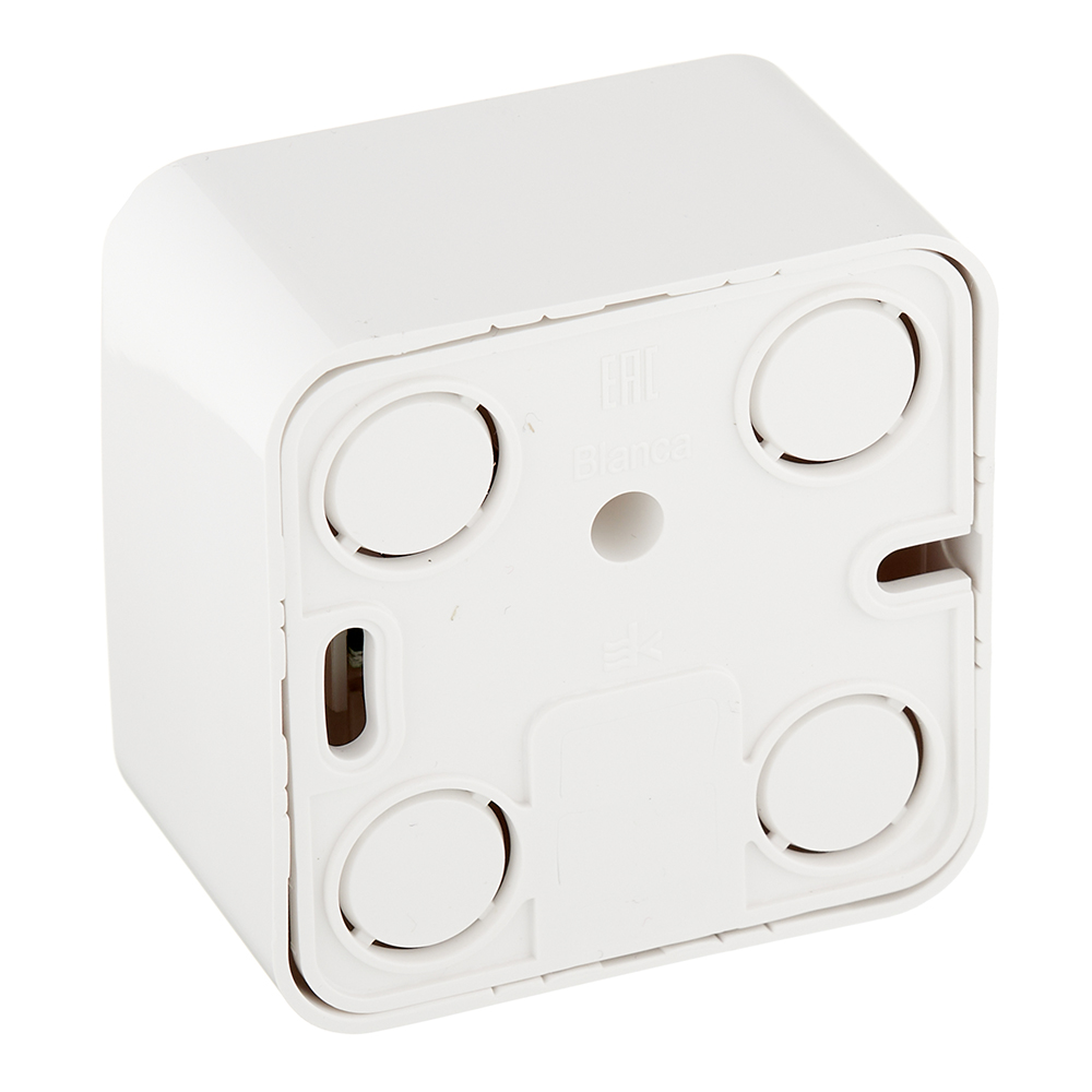 Розетка компьютерная/ телефонная Systeme Electric Blanca накладная белая RJ11/ RJ45 (BLNIA045111)