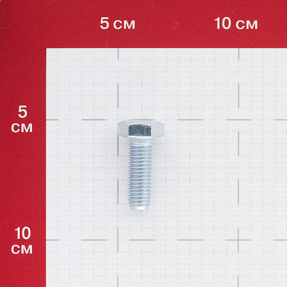Болт оцинкованный M10x30 мм DIN 933 10,9 (2 шт.)