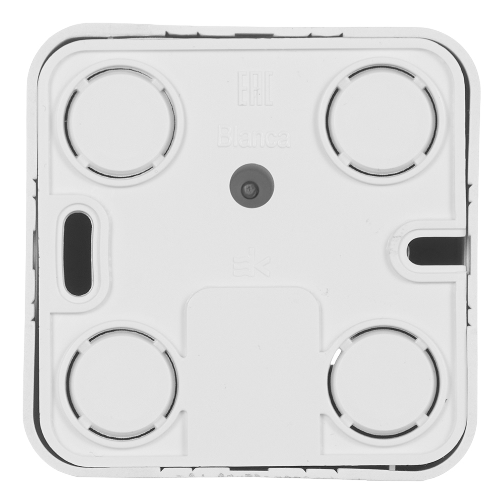 Розетка компьютерная/ телефонная Systeme Electric Blanca накладная алюминий RJ11/ RJ45 (BLNIA045113)