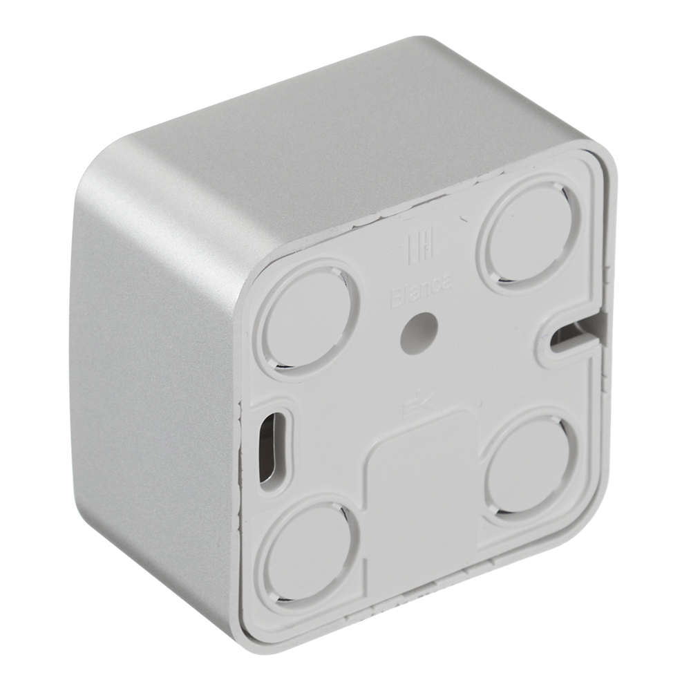 Розетка компьютерная/ телефонная Systeme Electric Blanca накладная алюминий RJ11/ RJ45 (BLNIA045113)