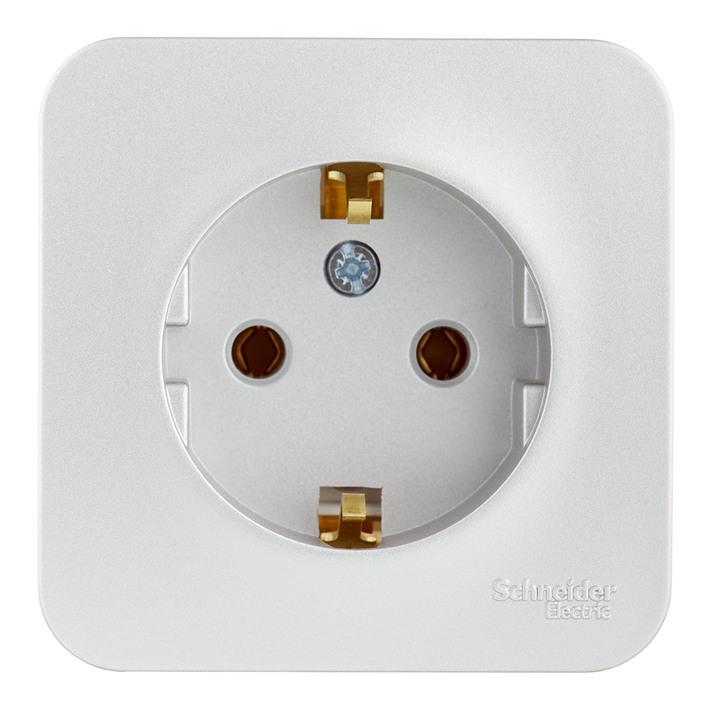 Розетка Systeme Electric Blanca накладная алюминий (BLNRA010113)