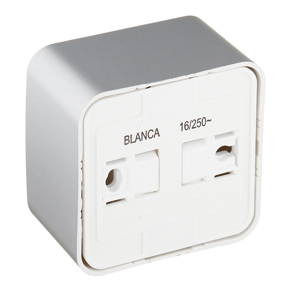 Розетка Systeme Electric Blanca накладная алюминий (BLNRA010113)