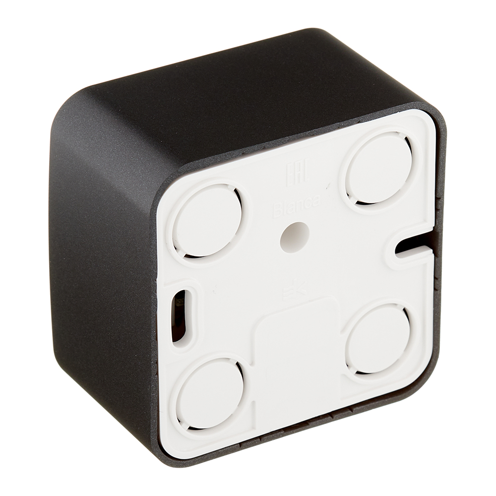 Розетка компьютерная/ телефонная Systeme Electric Blanca накладная антрацит RJ11/ RJ45 (BLNIA045116)