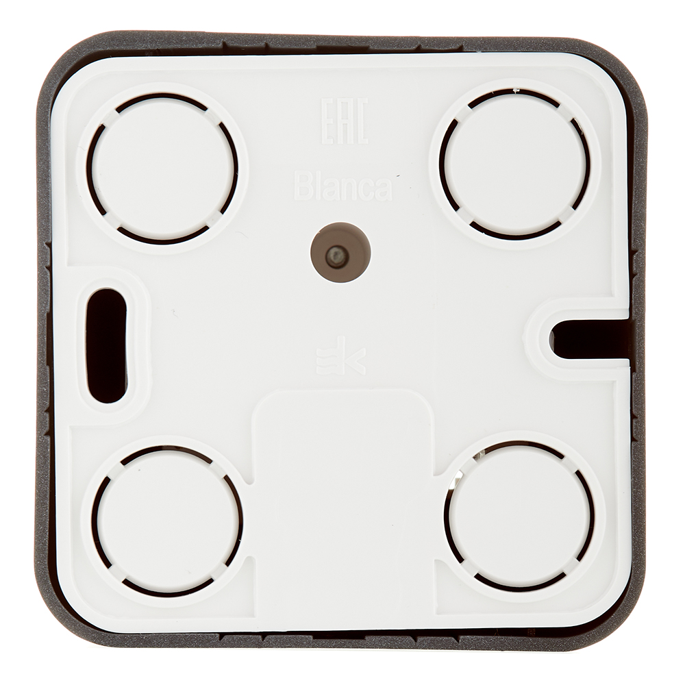 Розетка компьютерная/ телефонная Systeme Electric Blanca накладная антрацит RJ11/ RJ45 (BLNIA045116)