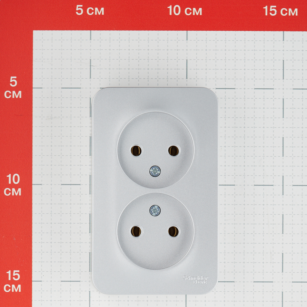 Розетка Systeme Electric Blanca накладная алюминий (BLNRA000213)
