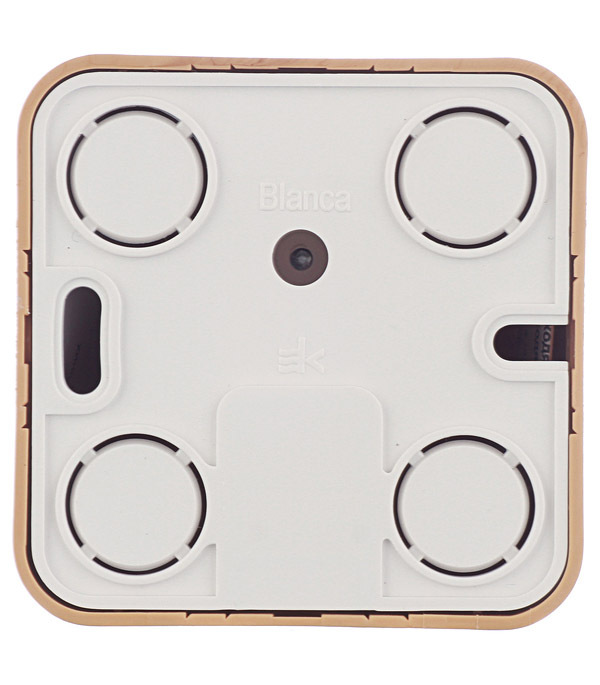 Розетка компьютерная Systeme Electric Blanca накладная ясень RJ45 (BLNIA045005)