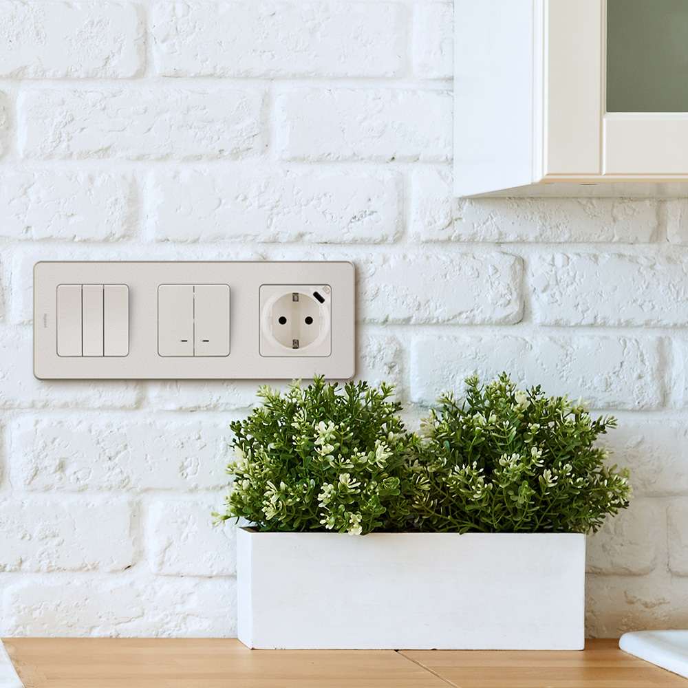 Розетка Legrand Inspiria встраиваемая слоновая кость с USB Type-C (673771)