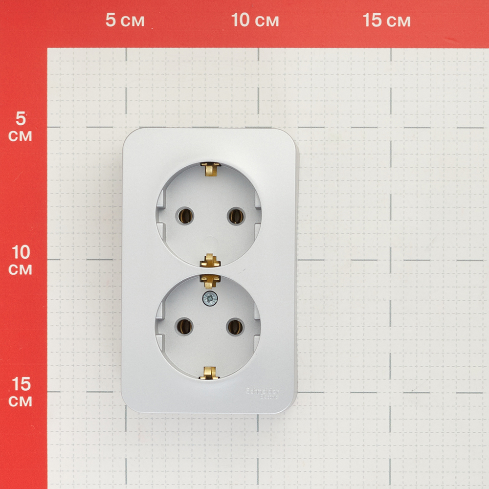 Розетка Systeme Electric Blanca накладная алюминий (BLNRA010213)