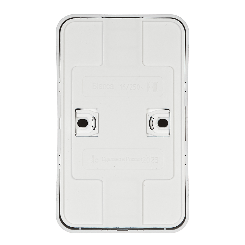 Розетка Systeme Electric Blanca накладная алюминий (BLNRA010213)