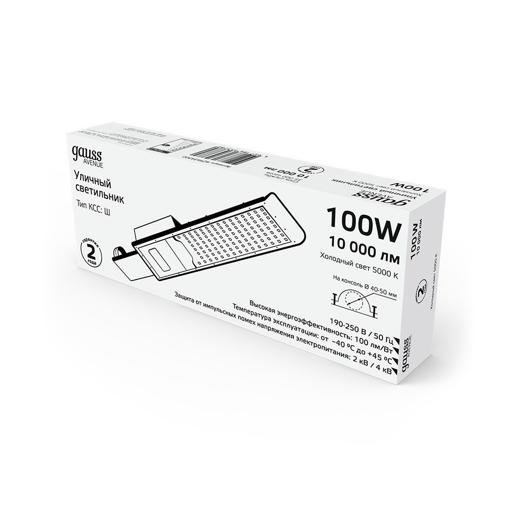 Светильник уличный светодиодный Gauss Avenue 5000К 100 Вт консольный IP65 (629534300)
