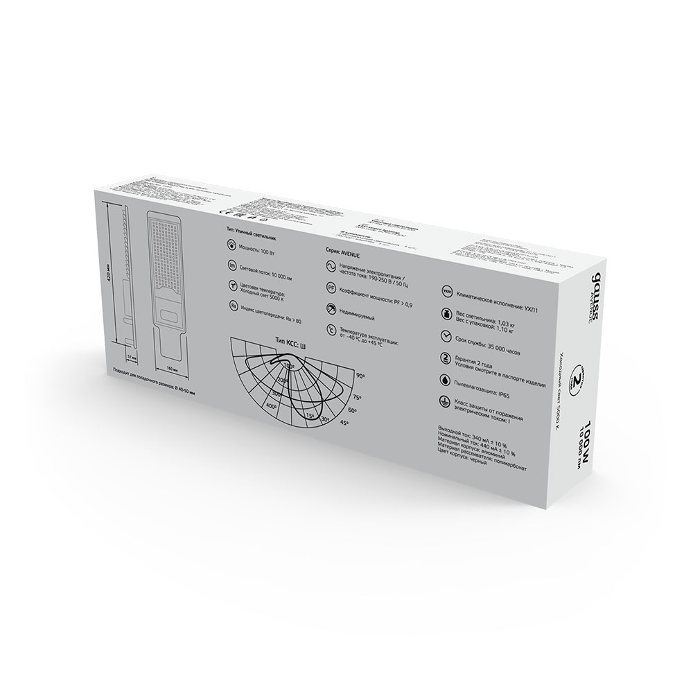 Светильник уличный светодиодный Gauss Avenue 5000К 100 Вт консольный IP65 (629534300)