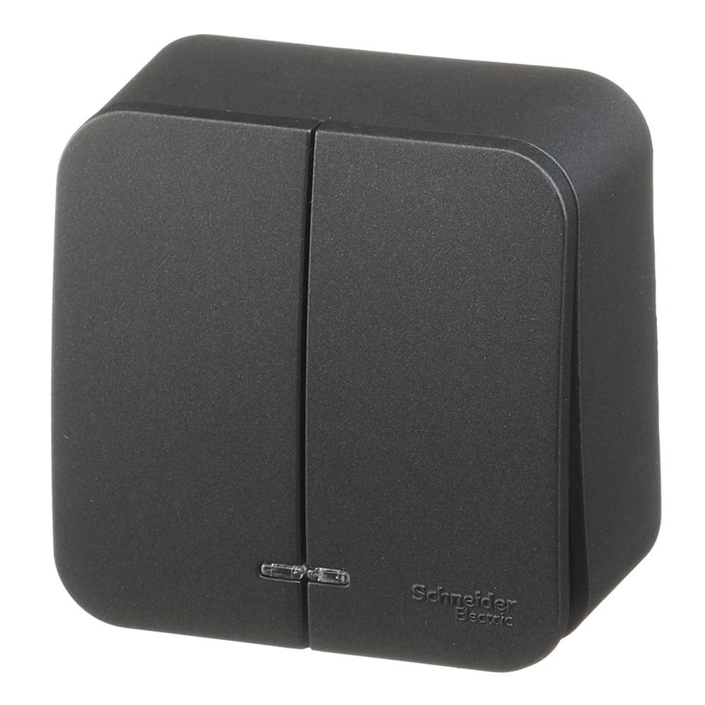 Выключатель Systeme Electric Blanca двухклавишный накладной антрацит с подсветкой (BLNVA105116)