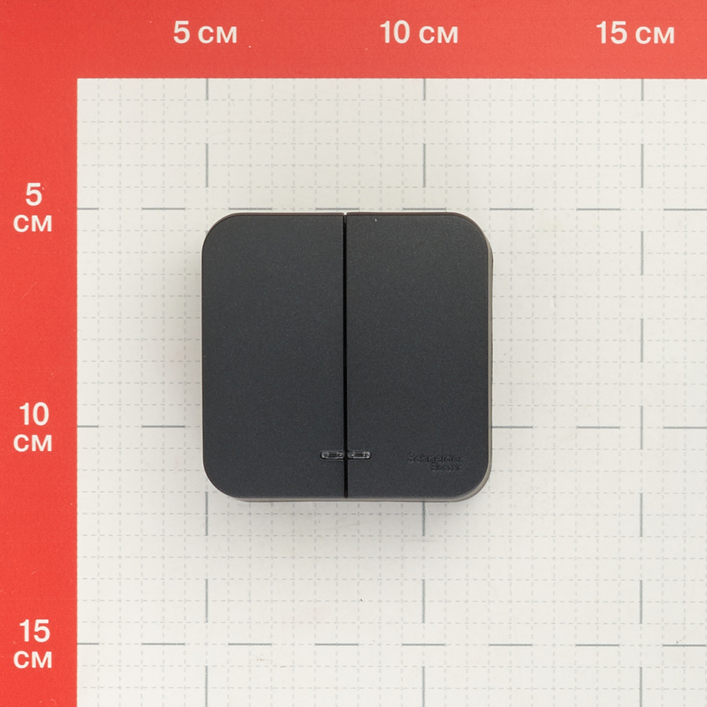 Выключатель Systeme Electric Blanca двухклавишный накладной антрацит с подсветкой (BLNVA105116)