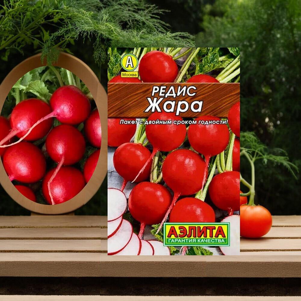 Редис Жара Аэлита 6 г
