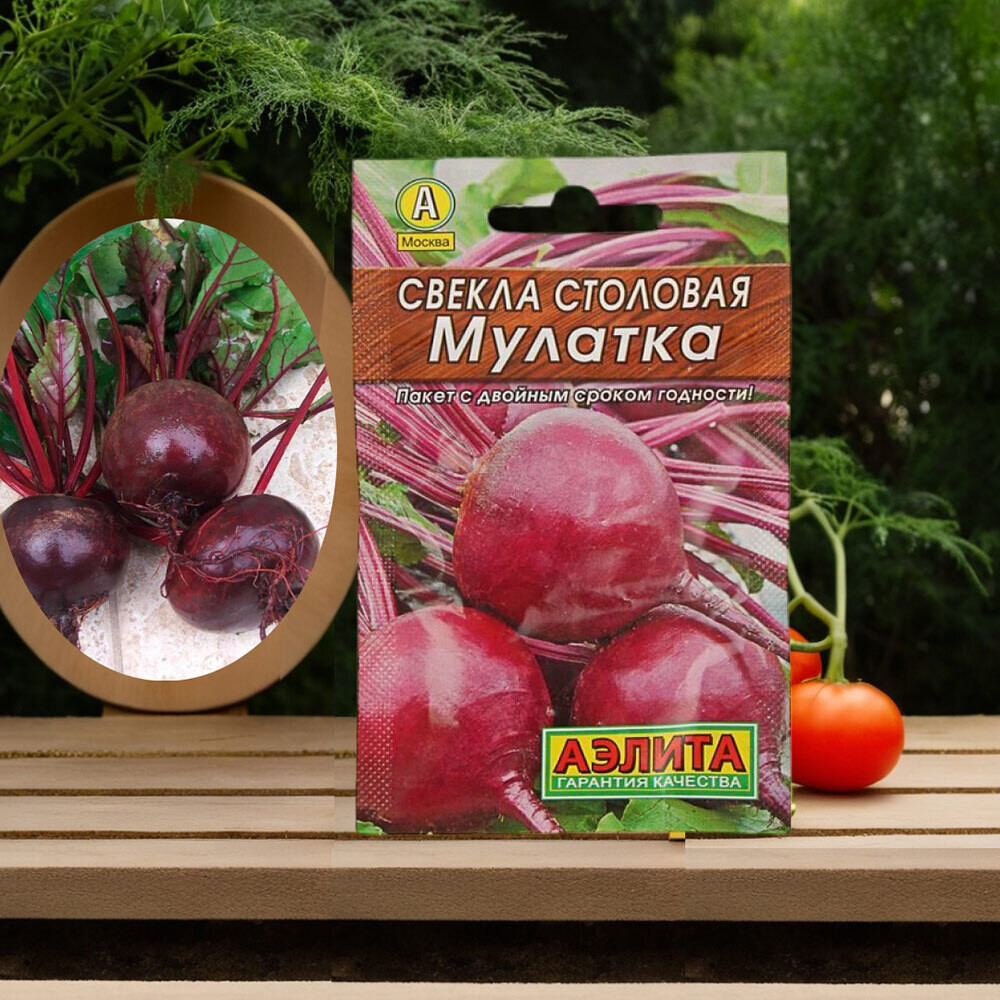 Свекла столовая Мулатка Аэлита 2 г