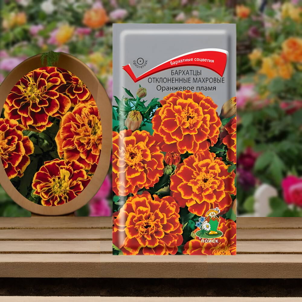 Бархатцы отклоненные махровые Оранжевое пламя Поиск 0,4 г