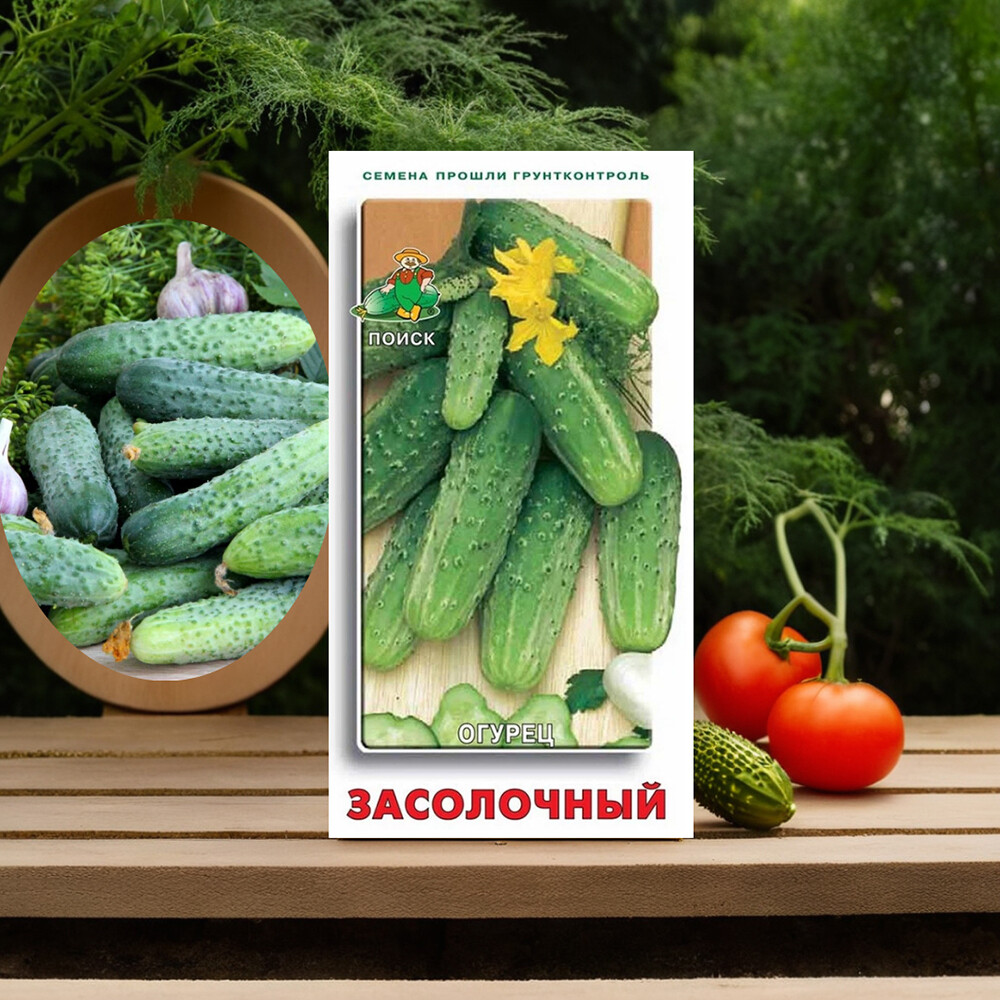 Огурец Засолочный Поиск 12 шт.