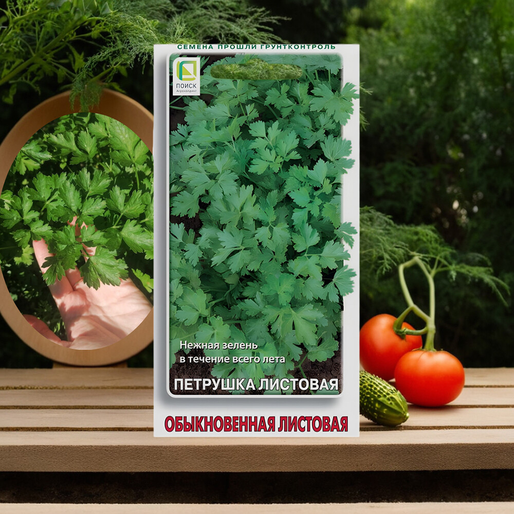 Петрушка Обыкновенная Листовая Поиск 3 г
