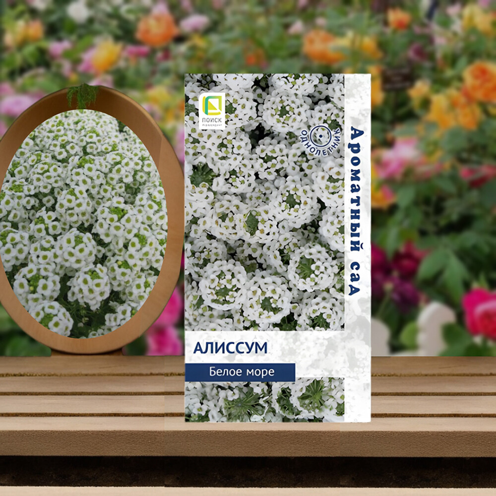 Алиссум Белое море Поиск 0,1 г